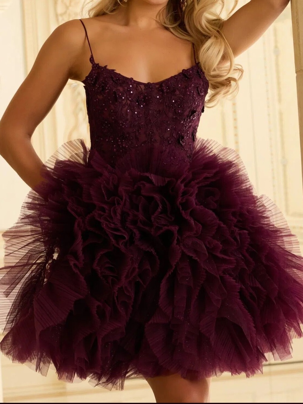 NWT Jovani Sz 6 Plum Ruffle Skirt Floral Corset Dress 45707